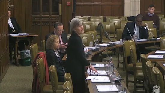 Kate Green parliament debate 2 (550px * 309px)